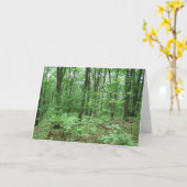 山Nittanyノートカード カード (黄色い花)