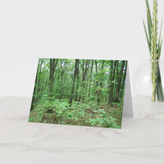 山Nittanyノートカード カード (正面)