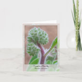 山Phacelia -原産のNotecard カード (正面)