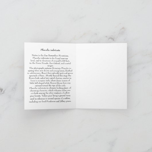 山Phacelia -原産のNotecard カード (内部)