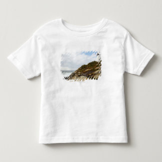岩が多い山腹のPemaquidポイント灯台 トドラーTシャツ