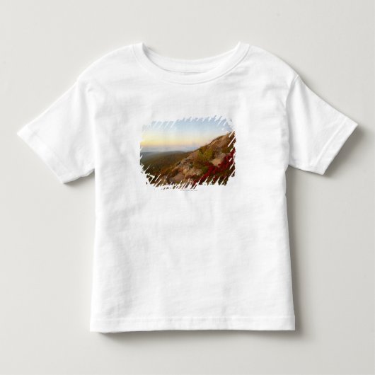 岩が多い山腹、赤い花、アカディア国立公園 トドラーTシャツ (正面)