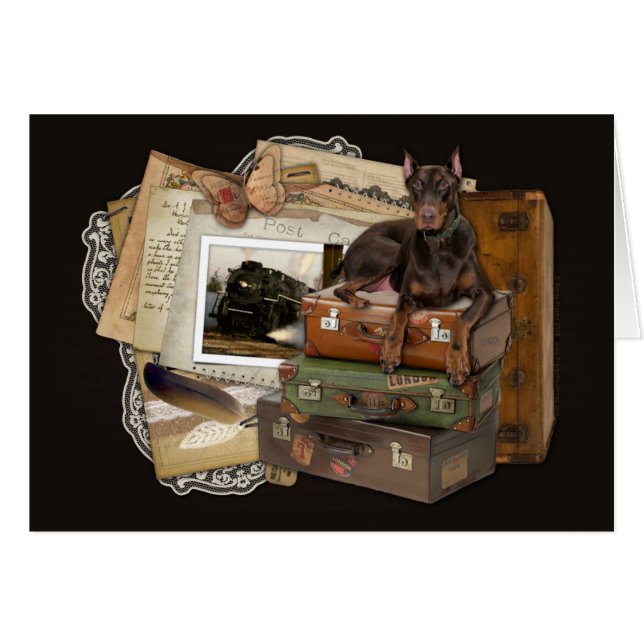 岩が多い旅行のドーベルマン犬- (正面横)