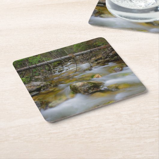 岩が多い森林入り江のコースター スクエアペーパーコースター (アングル)