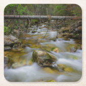 岩が多い森林入り江のコースター スクエアペーパーコースター (正面)