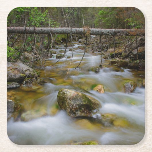 岩が多い森林入り江のコースター スクエアペーパーコースター (正面)