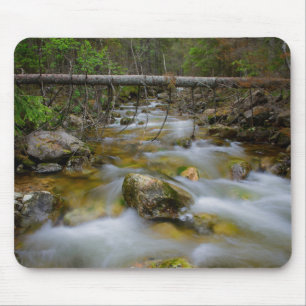 岩が多い森林入り江のmousepad マウスパッド