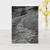 岩が多い道の挨拶状 カード (黄色い花)