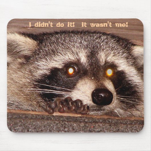 岩が多い、私はそれをしませんでした!  それは私ではなかったです! マウスパッド (正面)