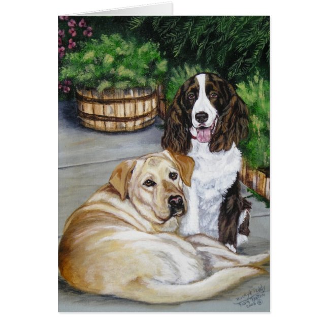 "岩が多く、テディ" (正面)