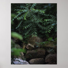 岩と緑 ポスター