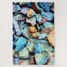 岩に囲まれたオレンジトッドカラフル