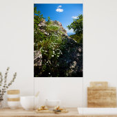 岩に囲まれた開花の白いデイジー ポスター (キッチン)