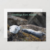 岩に封印する シーズンポストカード (正面/裏面)