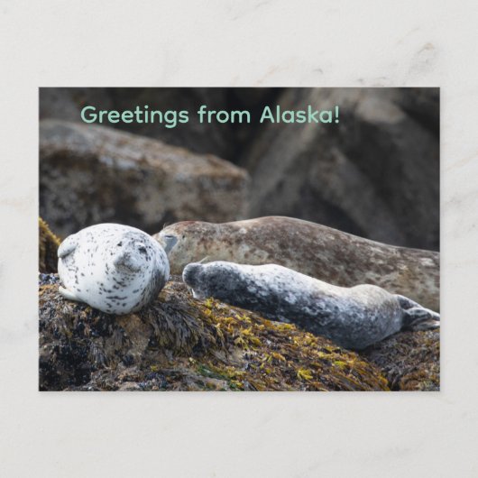 岩に封印する シーズンポストカード (正面)