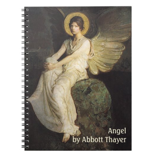 岩に座する翼の人物（Abbott Thayer作） ノートブック (正面)