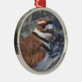 岩に棲むキラーズショアバードのクローズ メタルオーナメント (右)