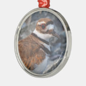 岩に棲むキラーズショアバードのクローズ メタルオーナメント (左)