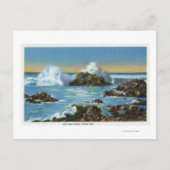 岩に沿ったサーフェスのビュー ポストカード (正面)
