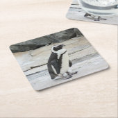 岩に浮かぶ美しい黒白のペンギン スクエアペーパーコースター (アングル)