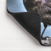 岩に立つ野生の黒いカラス マウスパッド (コーナー)