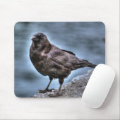 岩に立つ野生の黒いカラス マウスパッド (マウス)