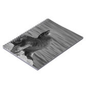 岩に覆われたアシカ – 野生生物写真 ノートブック (左側)