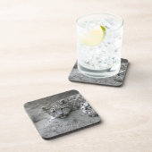 岩に覆われた4カ月のユキヒョウの仔 コースター (右側)