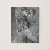 岩に覆われた4カ月のユキヒョウの仔 ジグソーパズル (縦)