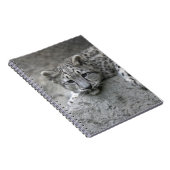 岩に覆われた4カ月のユキヒョウの仔 ノートブック (右側)