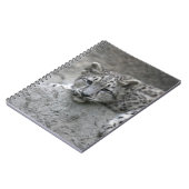 岩に覆われた4カ月のユキヒョウの仔 ノートブック (左側)