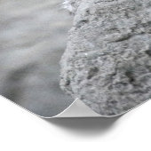 岩に覆われた4カ月のユキヒョウの仔 ポスター (角)