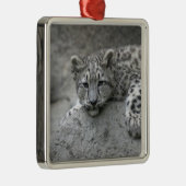 岩に覆われた4カ月のユキヒョウの仔 メタルオーナメント (右)