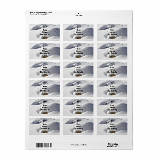 岩に雪が流れ落ちる ラベル (フルシート)