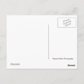 岩のはがきの上 ポストカード (裏面)