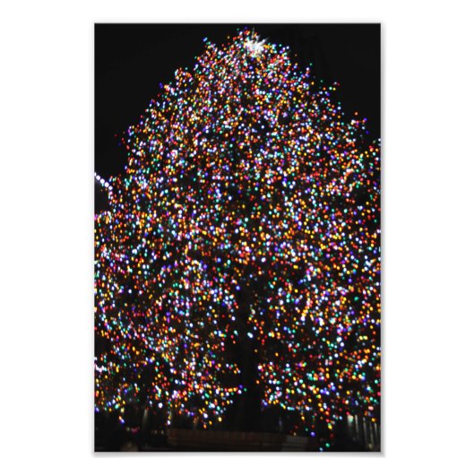 岩のクリスマスライト フォトプリント            (正面)