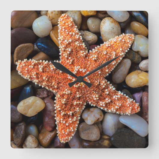 岩のヒトデ スクエア壁時計 (正面)