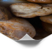 岩のヒトデ ポスター (角)