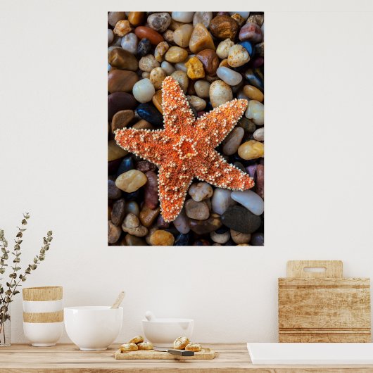 岩のヒトデ ポスター (キッチン)