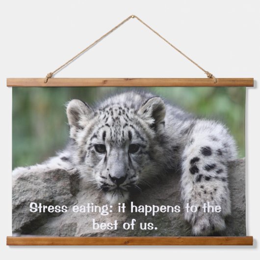 岩の上からあなたを見ているぶら下がったヒョウタップ 吊り下げ型タペストリー (正面)