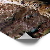 岩の上でチーター ポスター (角)