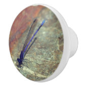 岩の上でポーズをとる紫のダンセルフライ  セラミックノブ (右)