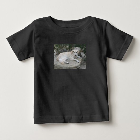 岩の上で休む犬 ベビーTシャツ (正面)