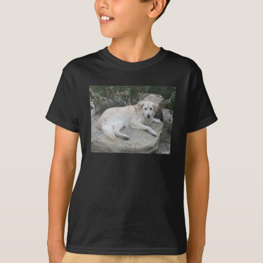 岩の上で休む犬 Tシャツ (正面)
