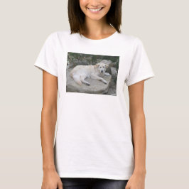 岩の上で休む犬 Tシャツ