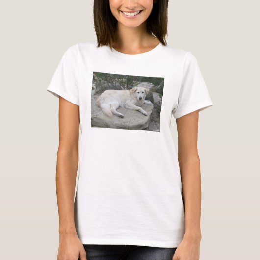 岩の上で休む犬 Tシャツ (正面)