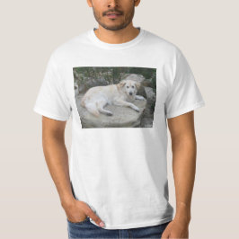 岩の上で休む犬 Tシャツ