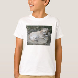岩の上で休む犬 Tシャツ