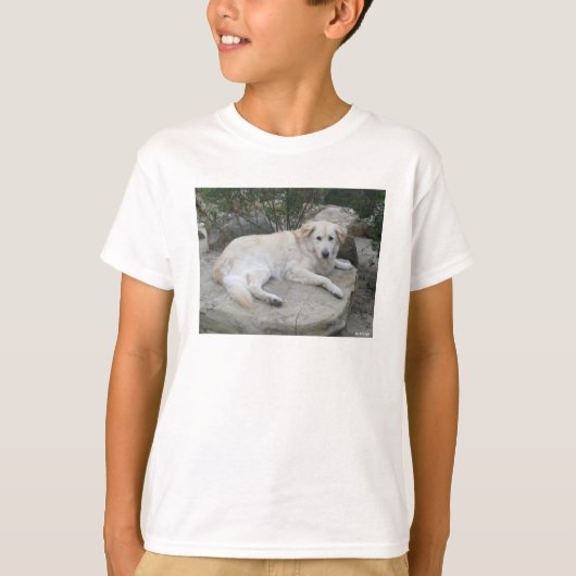 岩の上で休む犬 Tシャツ (正面)