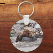 岩の上で休む白熊 キーホルダー (正面)